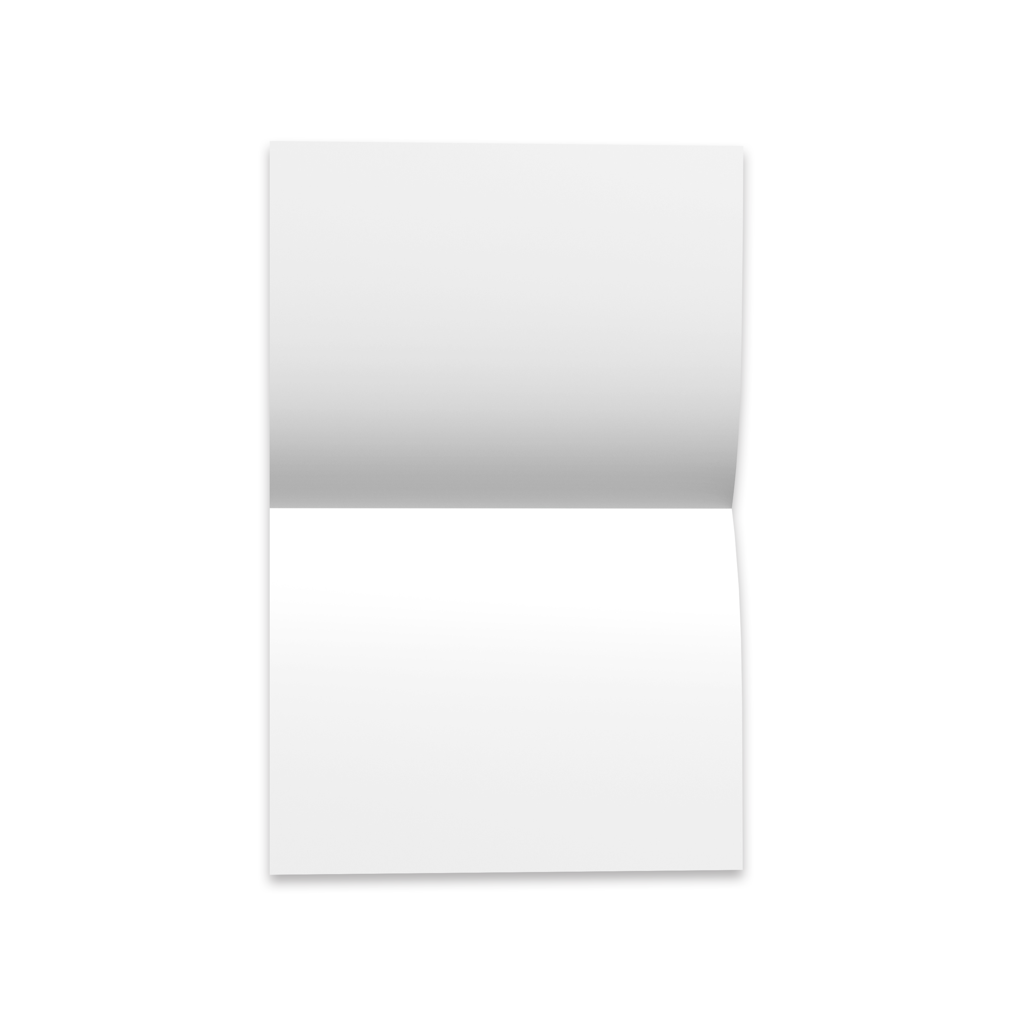 Brochure-Half Fold